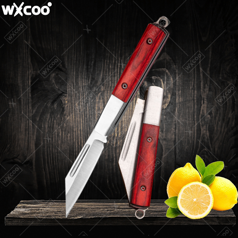 Stainless Steel Pocket Knife R - Kitchen Q review and price