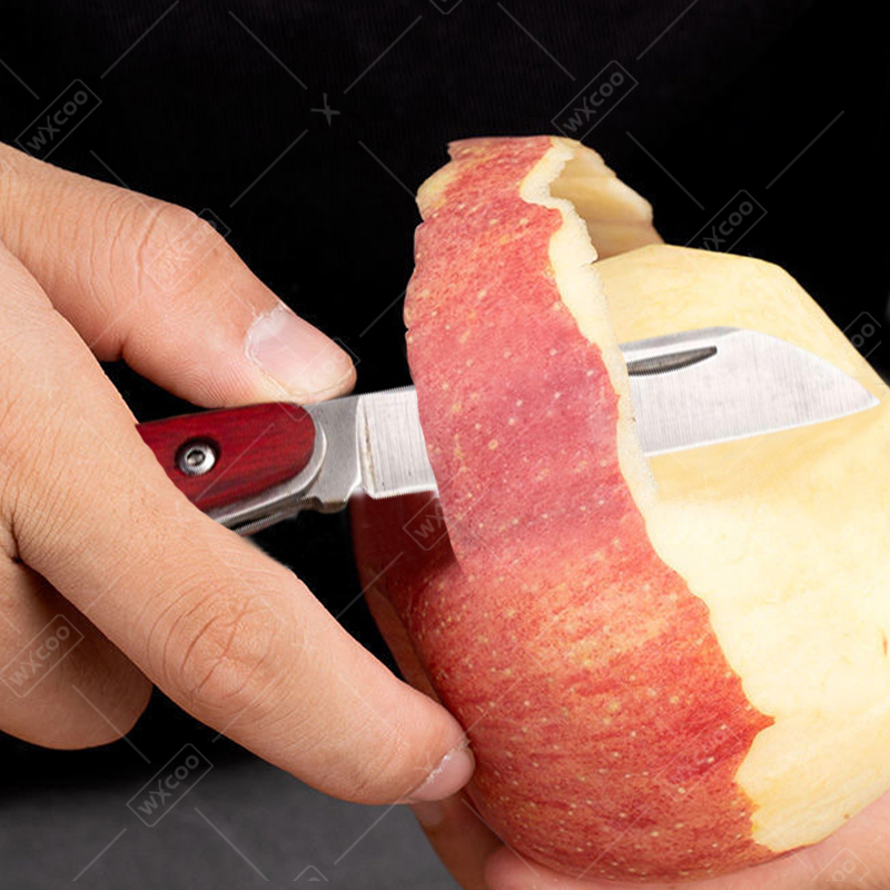 Stainless Steel Pocket Knife R - Kitchen Q review and price