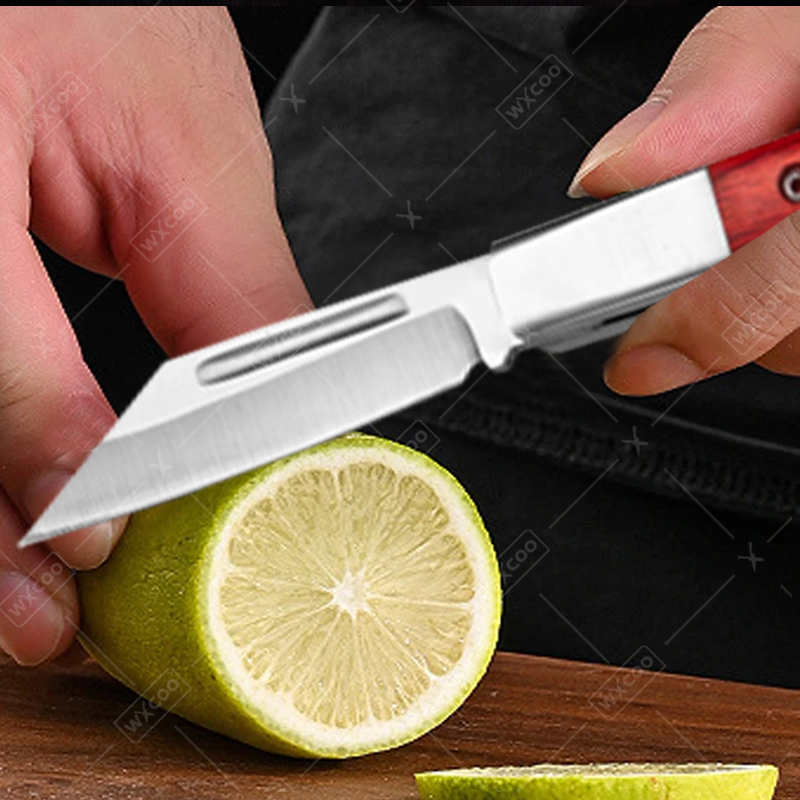 Stainless Steel Pocket Knife R - Kitchen Q review and price